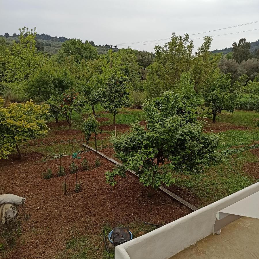 Εξοχική Κατοικία - Cottage Τίνα Líri Eksteriør bilde
